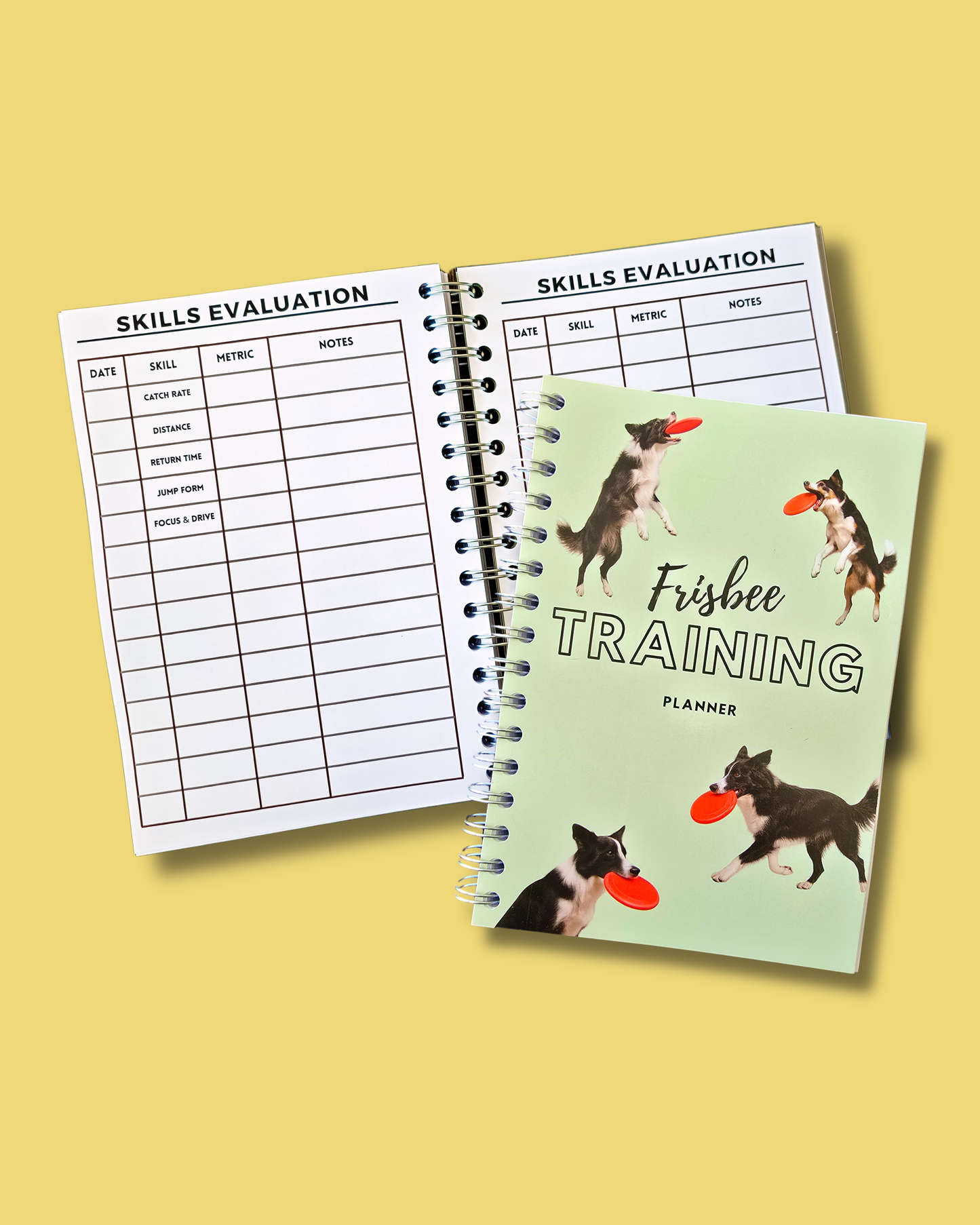 Frisbee Training Planner