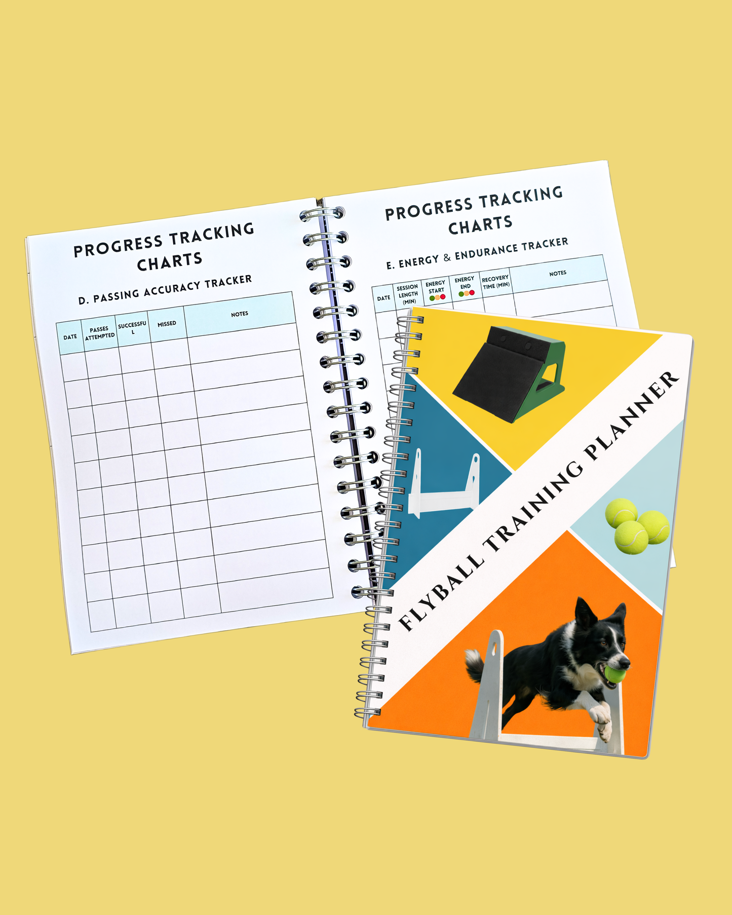 Flyball Training Planner