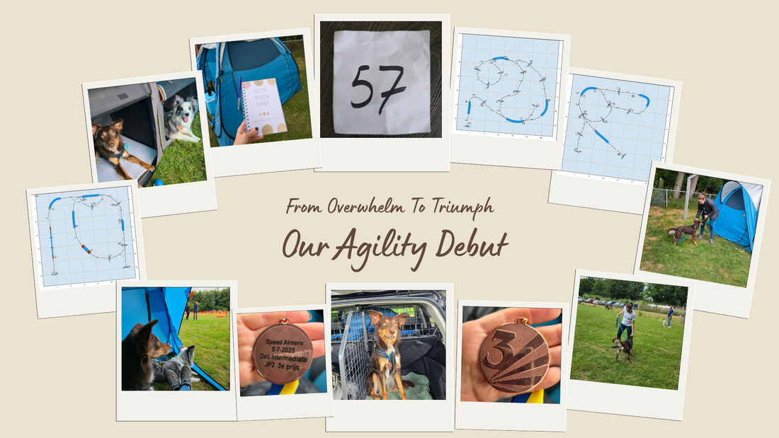 From Overwhelm To Triumph