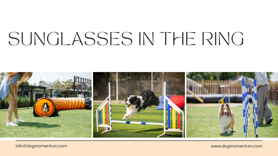 Can Sunglasses Affect Your Dog during the competition?