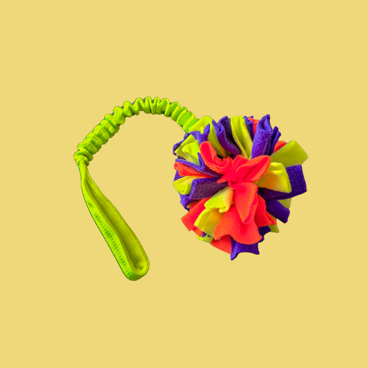 Momentum SoftBall Tug