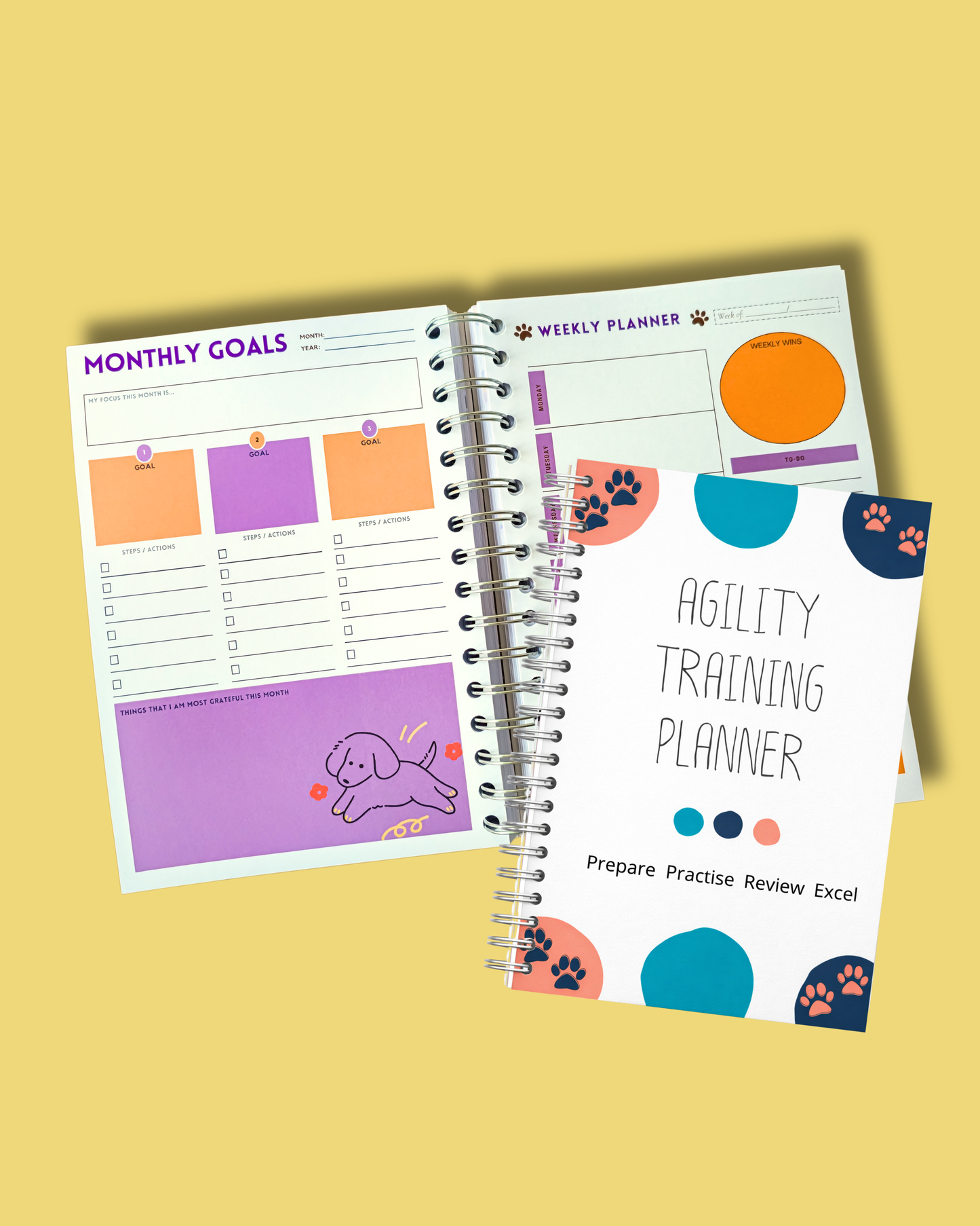 Agility Training Planner