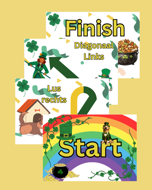 Rally-O Signs: St. Patrick's Day (Nederlandse versie)