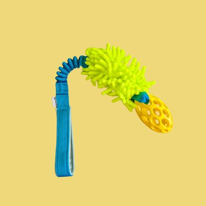 ZAYMA Mop bungee with JW Pet Hol-EE Football