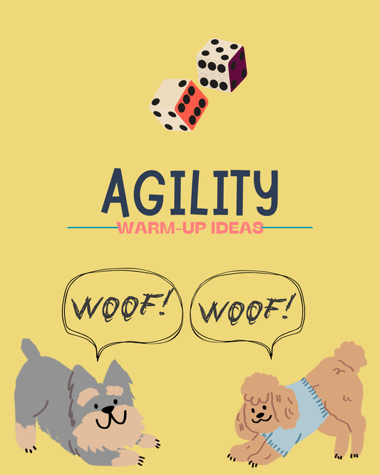 Agility Warm-Up Board Game
